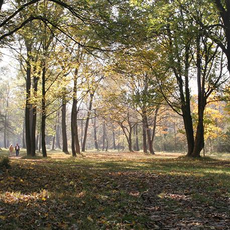 Поселок Forest Brook Club — земельные участки ИЖС в Саратове